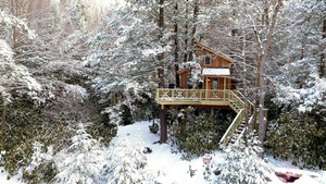 Ultimate Giveaway - Treehouse Special