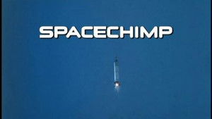 Spacechimp