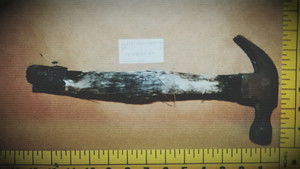 Mystery in the Blueberry Fields