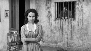 Incident of the Misplaced Indians