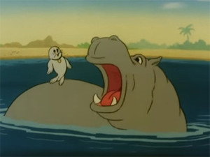 Safari