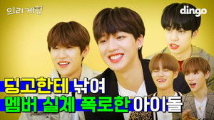 딩고 첫 출연에 비밀 폭로(?)하고 간 아이돌
