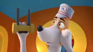 The Petsburg Express