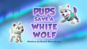 Pups Save a White Wolf