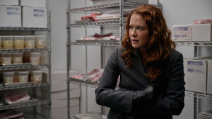 'Twas the Fight Before Christmas (2)