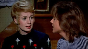 Everything You Always Wanted to Know About Sex... But Couldn't Pronounce