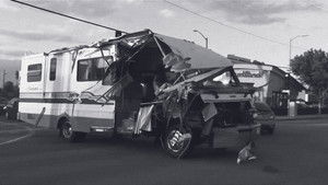 Who Let the Dogs Out?