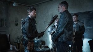 The Bird Always Knows