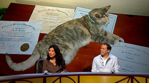 Hypnosis, Hallucinations & Hysteria