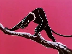 Lily the Black Leopard