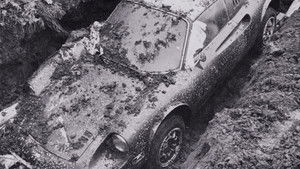 The Case of the Buried Dino