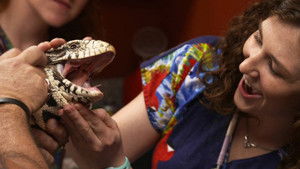 Snake, Rattle & Roll