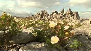 Ireland: Sculpted Isle