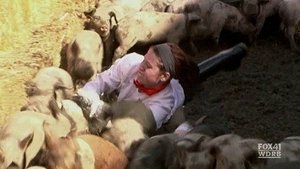 12 Chefs Compete Part 2