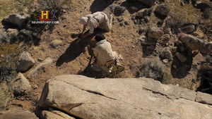 Jesus: The Lost 40 Days