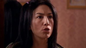 The peace gazebo / The tiger and the flamingo