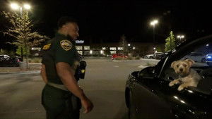 Convenience Store Homicide