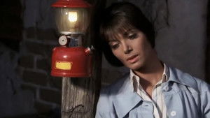 Who Will Dig the Graves?