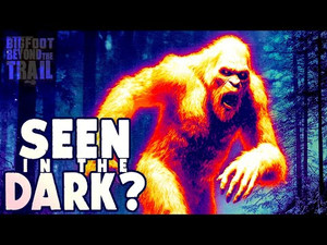 Seen in the Dark? The Sasquatch Surveillance Project