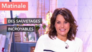 Morning show: this incredible rescue!