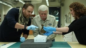 Lindbergh's Lost Rivals