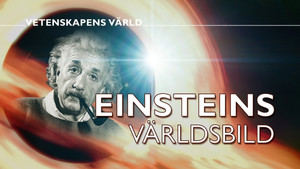 Einstein's Worldview