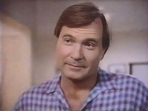 The Birds and the Killer Bees