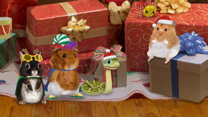 Help the Holiday Hamster! / Save the Snowman!