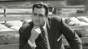 The Case of the Crooked Candle