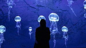 Messengers of darkness