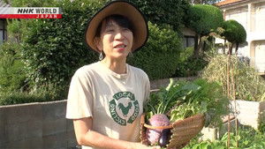 Compost Promoter - Taira Yuiko