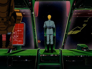 Reflections in a Brown Eye