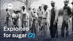 How sugar created slavery (2/2)
