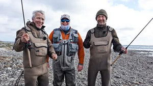 En havørred i Limfjorden