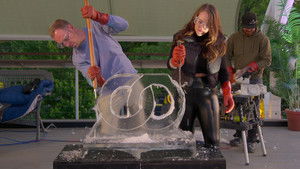 Roller Coaster of Love