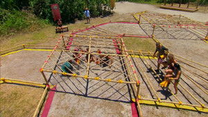 Swoop in for the Kill