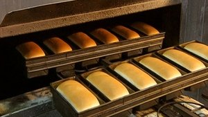 Aluminum Foil, Snowboards, Contact Lenses, Bread