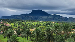 Guinea’s Adventurous Trade Routes