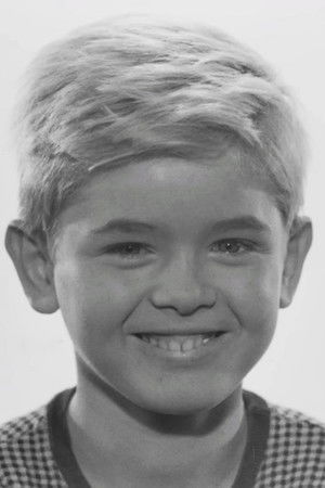 Hartmut Schwerdtfeger