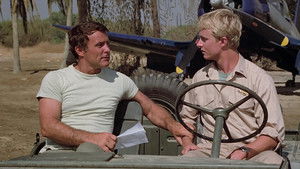 The 200 Pound Gorilla