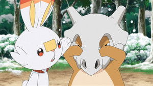 A Snow Day for Searching!