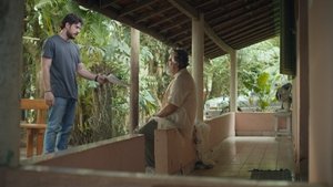 Cuca Will Come After You