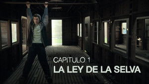 The law of the jungle