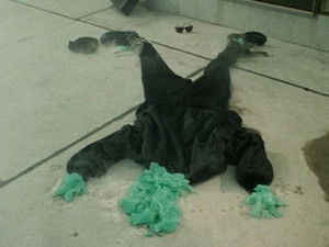 Ohashi Seto's Mutant- Part 1