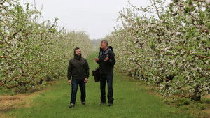 How 'Bout Them Apples