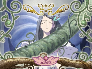 Wholeheartedly! A Happy White Rose