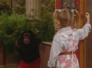 Too Much Monkey Business