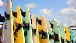 Surfboards, Satchels, Butter