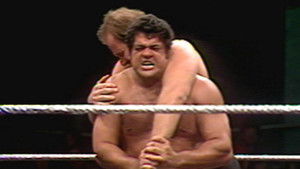 WWF Championship Wrestling - Jan 17, 1981