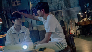 Are you willing to trust me?